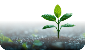 Projetos de sustentabilidade e preservação ambiental
